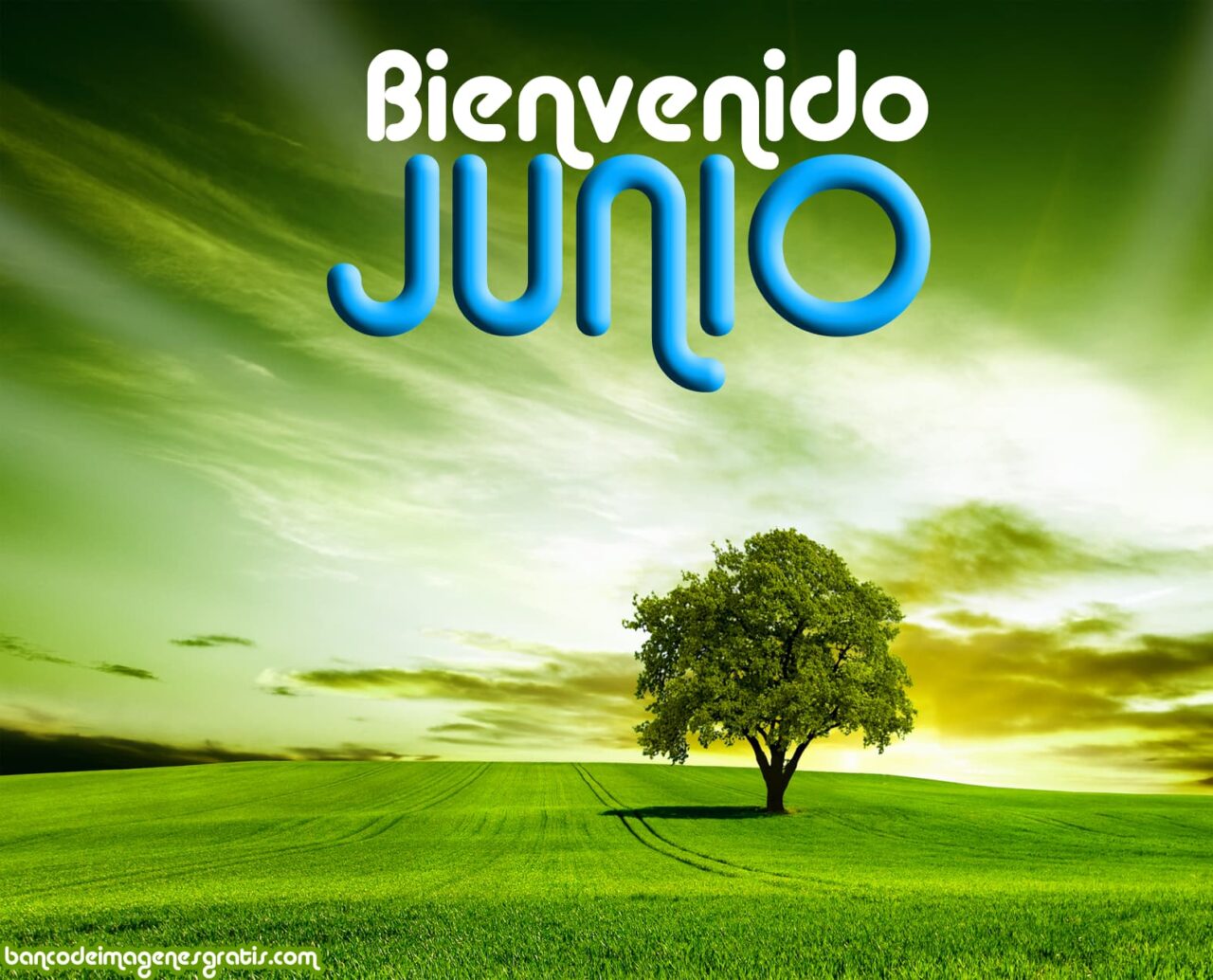 bienvenido-junio